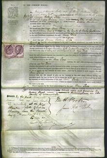 Court of Common Pleas - Ann Pare-Original Ancestry