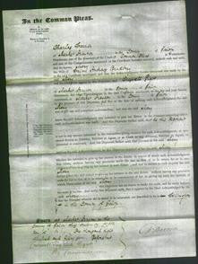 Court of Common Pleas - Mary Bradbury-Original Ancestry