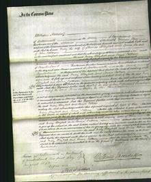 Court of Common Pleas - Mary Blaylock and Louisa Patterson-Original Ancestry