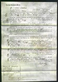 Court of Common Pleas - Elizabeth Mary White and Margaret Anne Archbald-Original Ancestry