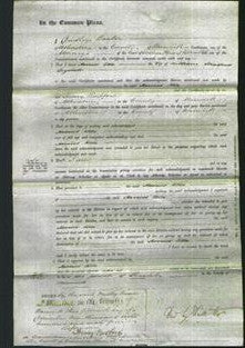 Court of Common Pleas - Harriett Ella Dugdale-Original Ancestry