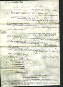 Court of Common Pleas - Elizabeth Ainge-Original Ancestry