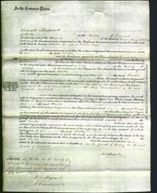 Court of Common Pleas - Martha Hayes-Original Ancestry