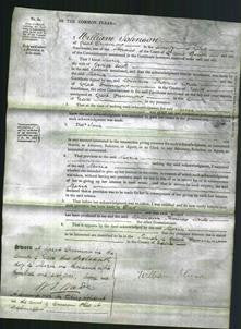 Court of Common Pleas - Maria Cock-Original Ancestry