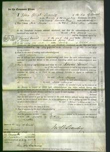 Court of Common Pleas - Ann Munro-Original Ancestry