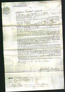 Court of Common Pleas - Sarah Hatherill-Original Ancestry