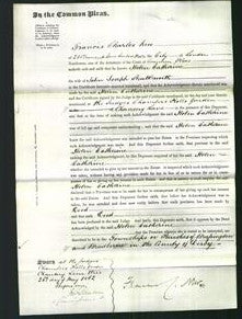 Court of Common Pleas - Helen Catherine Shuttleworth-Original Ancestry