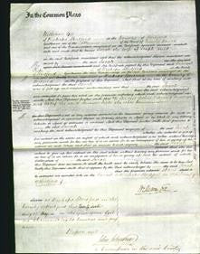 Court of Common Pleas - Sarah Hunt-Original Ancestry