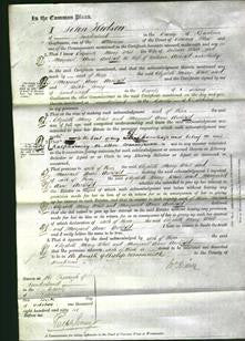 Court of Common Pleas - Elizabeth Mary White and Margaret Anne Archbald-Original Ancestry