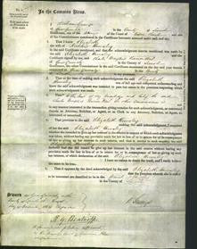 Court of Common Pleas - Elizabeth Hunsley-Original Ancestry