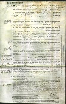 Court of Common Pleas - Matilda Adlam-Original Ancestry