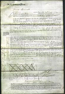 Court of Common Pleas - Susannah Shore-Original Ancestry