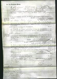 Court of Common Pleas - Mary Anne Frances Wynne-Original Ancestry