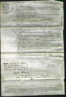 Court of Common Pleas - Eliza Ridley-Original Ancestry