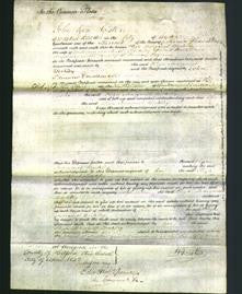 Court of Common Pleas - Eliza Margaret Berkeley-Original Ancestry