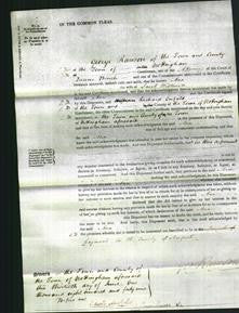 Court of Common Pleas - Ann Wilkinson-Original Ancestry