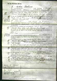 Court of Common Pleas - Elizabeth Mary White and Margaret Anne Archbald-Original Ancestry