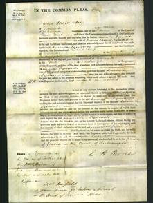 Court of Common Pleas - Lucinde Symonds-Original Ancestry