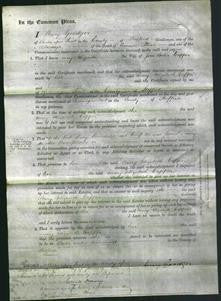 Court of Common Pleas - Mary Elizabeth Capper-Original Ancestry