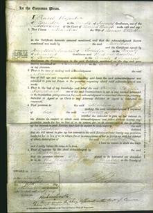 Court of Common Pleas - Martha Ellett-Original Ancestry