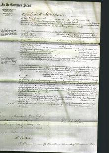 Court of Common Pleas - Rhoda Wayth-Original Ancestry