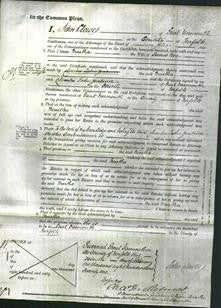 Court of Common Pleas - Martha Bee-Original Ancestry