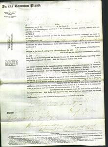 Court of Common Pleas - Hannah Tomlinin-Original Ancestry