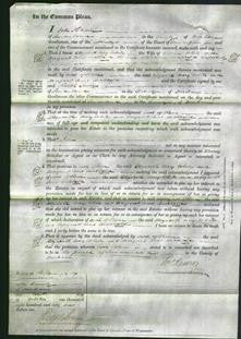 Court of Common Pleas - Elizabeth Mary White and Margaret Anne Archbald-Original Ancestry