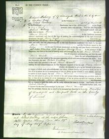 Court of Common Pleas - Maria Howell-Original Ancestry
