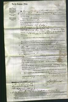 Court of Common Pleas - Jane Ward-Original Ancestry