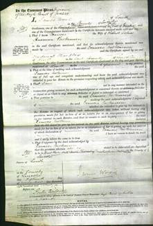 Court of Common Pleas - Frances Parkinson-Original Ancestry