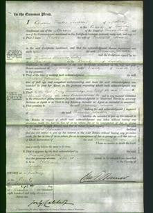 Court of Common Pleas - Frances Johnson-Original Ancestry