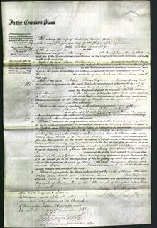 Court of Common Pleas - Mary Ann Fields and Emma Lison-Original Ancestry