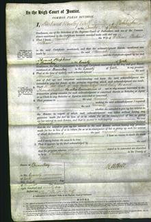 Court of Common Pleas - Ann Sarah Kocher-Original Ancestry