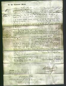 Court of Common Pleas - Jane Elizabeth Mary Ann Rowland-Original Ancestry