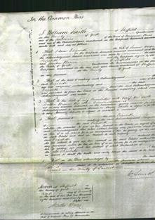 Court of Common Pleas - Elizabeth Green-Original Ancestry