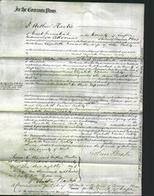 Court of Common Pleas - Elizabeth Frances Ashby-Original Ancestry