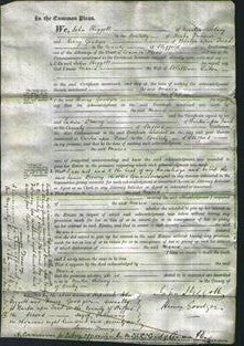 Court of Common Pleas - Maria Eaton-Original Ancestry