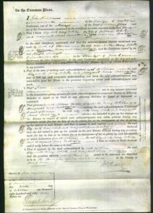 Court of Common Pleas - Elizabeth Mary White and Margaret Anne Archbald-Original Ancestry