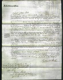 Court of Common Pleas - Frances Mortimer-Original Ancestry