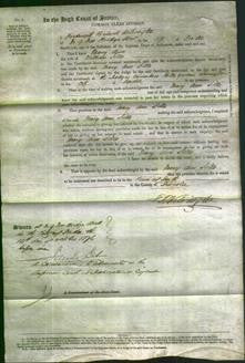 Court of Common Pleas - Mary Ann Sills-Original Ancestry