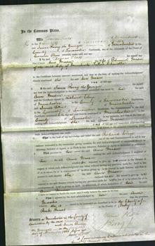 Court of Common Pleas - Ann Mason-Original Ancestry