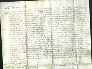 Court of Common Pleas - Catherine Tatham Topham-Original Ancestry