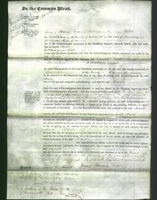 Court of Common Pleas - Maria Nock-Original Ancestry