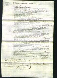 Court of Common Pleas - Elizabeth Drabble-Original Ancestry