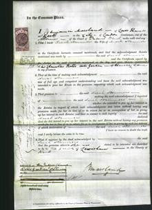 Court of Common Pleas - Sarah Stammers-Original Ancestry