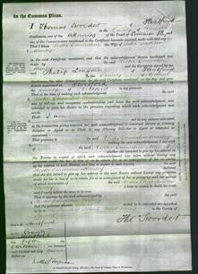 Court of Common Pleas - Hester Emmeline Manley-Original Ancestry