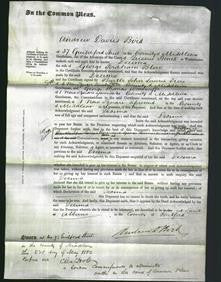 Court of Common Pleas - Decima Blow-Original Ancestry