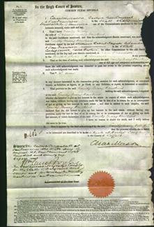 Court of Common Pleas - Emily Mary Hawkins-Original Ancestry