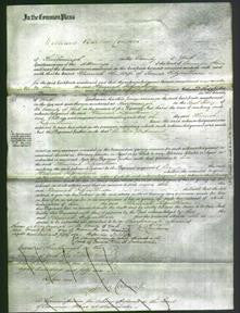 Court of Common Pleas - Hannah Fitzwilliam-Original Ancestry